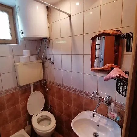 Vila Trmcic Okletac Bajina Basta
