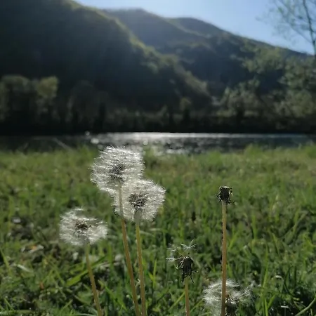 Villa Vila Trmcic Okletac Bajina Basta