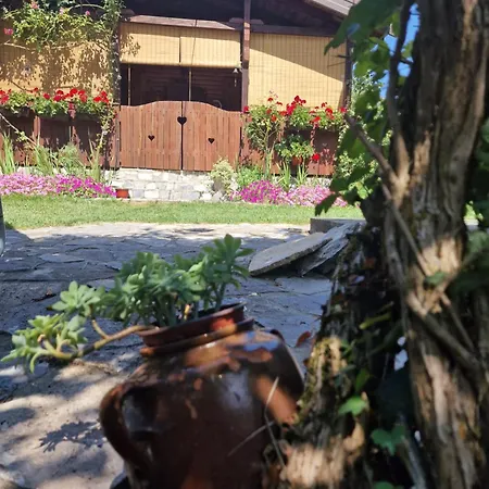 Vila Trmcic Okletac * Bajina Basta